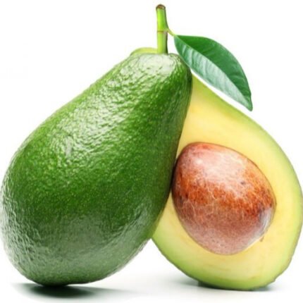Avocado Sri Lankan green plant
